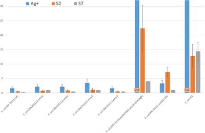 Comparison of Antibacterial Mode of Action of Silver Ions and Silver Nanoformulations With Different Physico-Chemical Properties: Experimental and Computational Studies